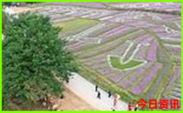 山西旅游攻略大全